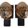 PAIR OF ANTIQUE ROMAN HELMET BOOKENDS BY BORGHESE PIC-4