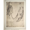 VINTAGE EDITION OF PASINELLO DRAWING COLLECTION PIC-5