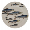 ITALIAN FISH PORCELAIN PLATE BY PIERO FORNASETTI PIC-0