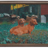 AMERICAN SCHOOL DOGS PORTRAIT OIL PAINTING SIGNED PIC-0