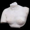 19TH CENTURY GRAND TOUR MARBLE BUST OF APHRODITE PIC-1