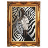 FRAMED OIL ON CANVAS PAINTING OF A ZEBRA BY M SIN PIC-0