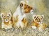 FRAMED OIL PAINTING OF LIONESS WITH CUBS BY STULE PIC-1