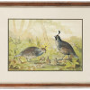 FRAMED LITHOGRAPH OF BIRDS BY ALEXANDER POPE JR PIC-0