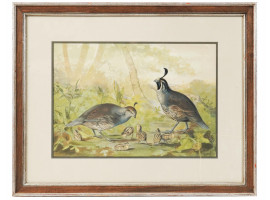 FRAMED LITHOGRAPH OF BIRDS BY ALEXANDER POPE JR