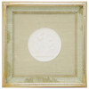 FRAMED GRAND TOUR PLASTER RELIEF MEDALLION CAMEO PIC-0