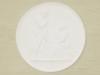 FRAMED GRAND TOUR PLASTER RELIEF MEDALLION CAMEO PIC-1