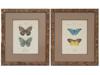 FRAMED BUTTERFLY PRINTS BY P. TURPIN, M.S. MERIAN PIC-1