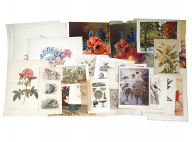 ANTIQUE AND VINTAGE FLORAL AND ANIMAL ART PRINTS