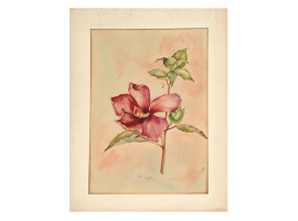 FLOWERS WATERCOLOR PAINTING SIGNED BY M TAYLOR
