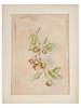 BERRIES WATERCOLOR PAINTING SIGNED BY M TAYLOR PIC-0