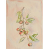 BERRIES WATERCOLOR PAINTING SIGNED BY M TAYLOR PIC-1