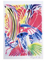 AMERICAN LITHOGRAPH CABEZA DE VACA BY ROSENQUIST