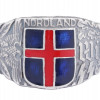 WWII GERMAN WAFFEN SS WIKING NORDLAND SILVER RING PIC-0