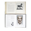 ART BOOKS AND ALBUMS ON ITALIAN SCULPTURE PIC-6