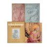 RENAISSANCE PAINTING AND DRAWING ALBUMS AND BOOKS PIC-0