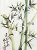 CHINESE INK AND WATERCOLOR PAINTINGS SIGNED PIC-2