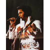POSTER PHOTO OF ELVIS PRESLEY SIGNED AUTOGRAPHED PIC-1