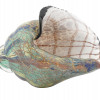 LARGE HAND BLOWN MURANO GLASS SEASHELL DECORATION PIC-0