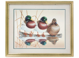 VINTAGE FRAMED DUCKS ART PRINT BY PETER MOUSTAKOS