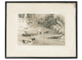 ANTIQUE SIGNED ETCHING DUCKS BY FELIX BRACQUEMOND