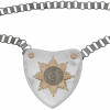 WWII NAZI GERMAN SA FLAG BEARER GORGET WITH CHAIN PIC-0