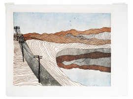 AMERICAN COLORED WOOD CUT PRINT BY SFONA PELAH