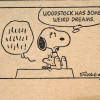 AMERICAN SNOOPY COMIC BOOK BY CHARLES M SCHULZ PIC-6