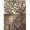 AMERICAN LANDSCAPE LITHOGRAPH PRINT BY ANA MARIA PIC-2