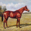 ENGLISH EQUESTRIAN OIL PAINTING BY T. SHIPLEY PIC-1