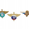 RUSSIAN BELORUSSIAN UKRAINIAN PARATROOPERS BADGES PIC-4