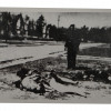 WWII NAZI GERMAN CRIMES AGAINST HUMANITY PHOTOS PIC-2