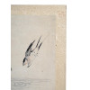 ANTIQUE CHINESE BIRDS WATERCOLOR PAINTING SCROLL PIC-3