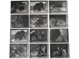 ANTIQUE JAPANESE GLASS PLATE NEGATIVES WITH SHUNGA SCENES