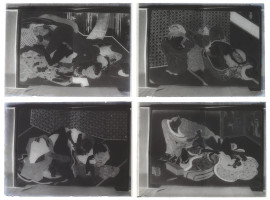 ANTIQUE JAPANESE GLASS PLATE NEGATIVES WITH SHUNGA SCENES