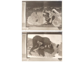 ANTIQUE JAPANESE GLASS PLATE NEGATIVES WITH SHUNGA SCENES