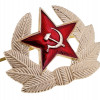 SOVIET MILITARY PINS AND USSR EMBLEM WALL PLAQUE PIC-4