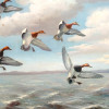MID CENT SEASCAPE WITH DUCKS OIL PAINTING SIGNED PIC-1