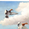 MID CENT SEASCAPE WITH DUCKS OIL PAINTING SIGNED PIC-2