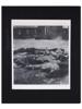 WWII CAMP PRISONERS AND HOLOCAUST VICTIMS PHOTOS PIC-3