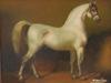 PORTRAIT OF HORSE OIL PAINTING SIGNED BY M POULAS PIC-1