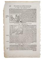 ANTIQUE ENGRAVINGS FROM LATIN BOOKS AND PUBLICATIONS