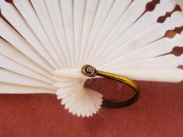 CHINESE FLORAL WATERCOLOR HAND PAINTED FAN FRAMED