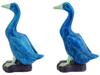 ANTIQUE CHINESE TURQUOISE PORCELAIN FIGURES OF DUCKS PIC-4