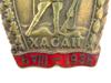 SOVIET ERA BADGE FOR THE BATTLE OF LAKE KHASAN 1938 PIC-4