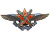 SOVIET BADGE SOCIETY OF FRIENDS OF THE AIR FLEET PIC-0