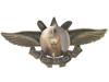 SOVIET BADGE SOCIETY OF FRIENDS OF THE AIR FLEET PIC-1