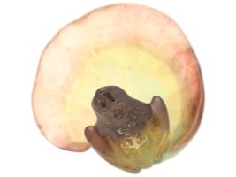 NANCY DAUM PATE DE VERRE FROG ON LILY GLASS DISH