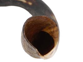 ANTIQUE JEWISH ROSH HASHANAH CELEBRATION SHOFAR HORN