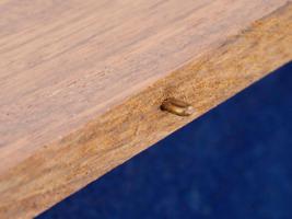 MARINE WOODEN CIGAR BOX WITH ANCHOR DESIGN ON LID